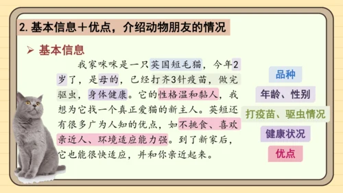 统编版语文四年级下册习作：我的动物朋友（课件）