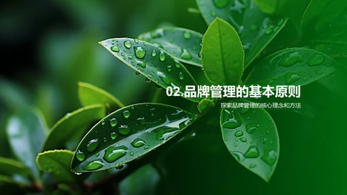 谷雨品牌战略