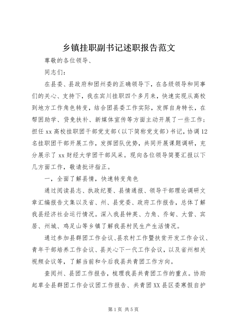 乡镇挂职副书记述职报告范文.docx