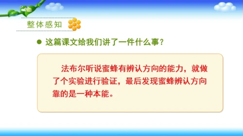 14《蜜蜂》课件