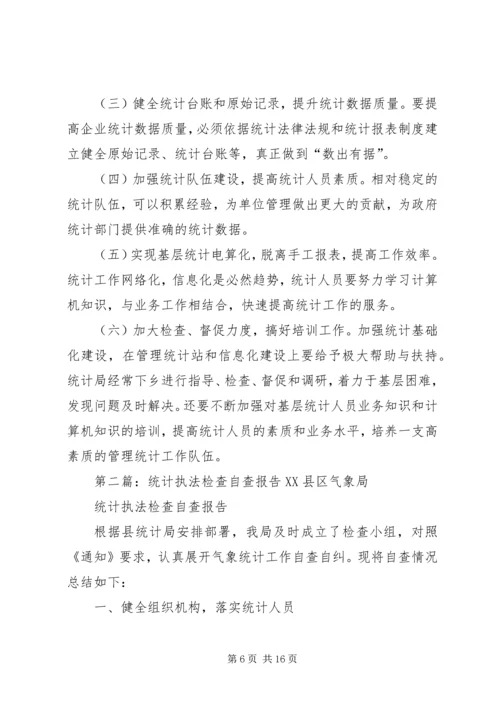 县统计执法检查自查报告 (2).docx