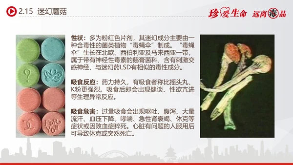 世界禁毒日宣传禁毒知识教学PPT模板