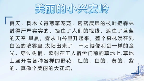部编版三年级上册第二十课美丽的小兴安岭PPT模板