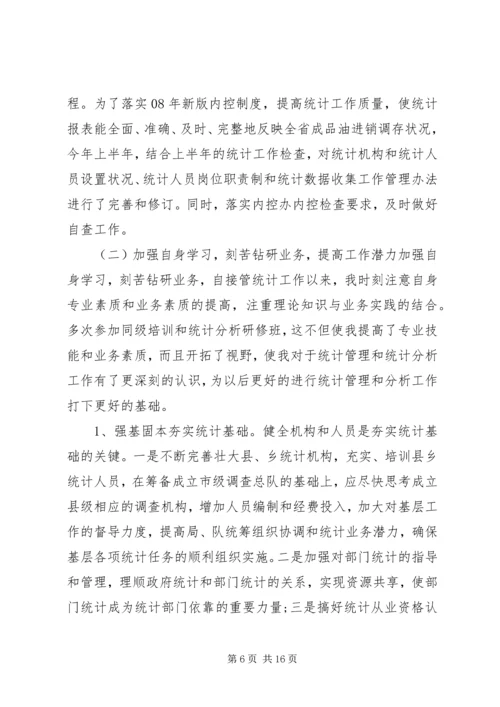 统计工作总结以及来年计划范文.docx