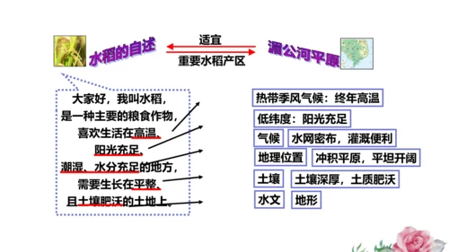 人文地理上册 3.1.1 稻作文化的印记 课件（共20张PPT）