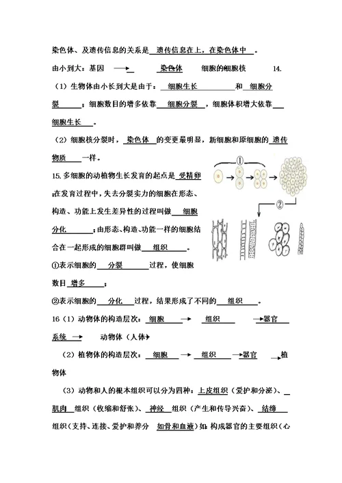 有复习资料七年级生物上册期末填空题复习