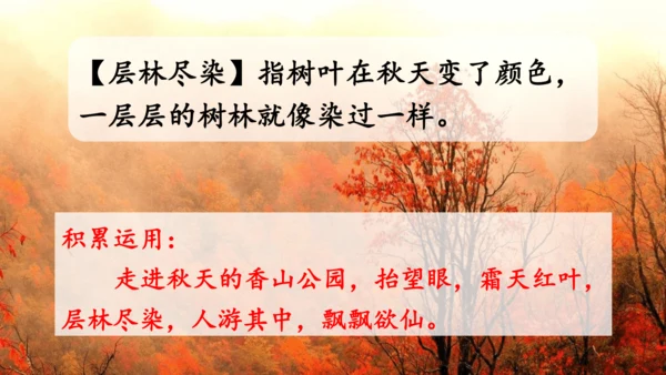 统编版语文三年级上册 第二单元 语文园地二   课件