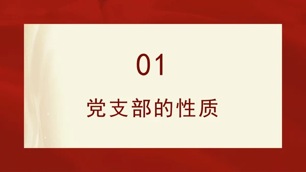 2024党支部标准化规范化基本知识党课ppt