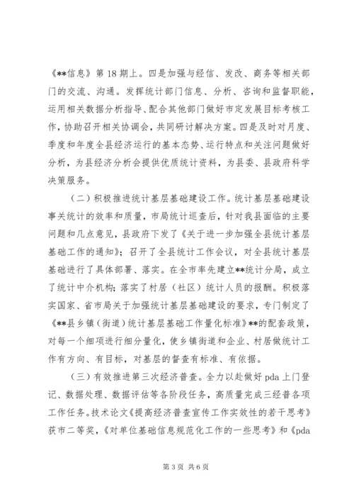 县统计局领导班子总结.docx