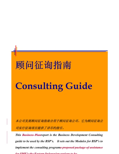 咨询顾问标准手册中英文.docx