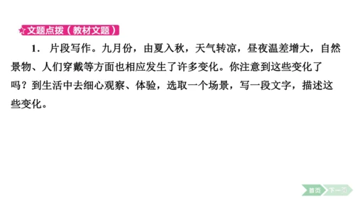 2024-2025-统编版（2024）语文七年级上册第一单元　热爱写作，学会观察 课件