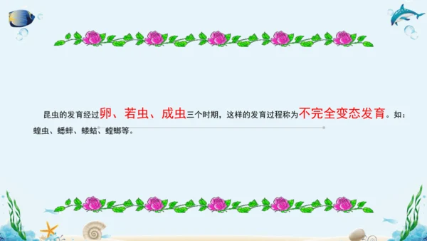 人教版八年级下册生物复习课件