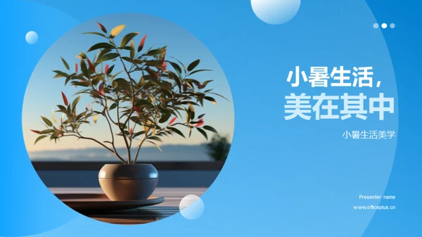 小暑生活，美在其中