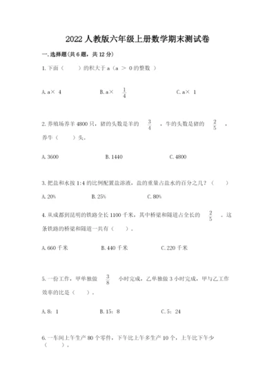 2022人教版六年级上册数学期末测试卷【各地真题】.docx