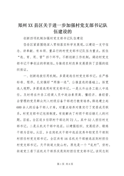 郑州XX县区关于进一步加强村党支部书记队伍建设的_1 (2).docx