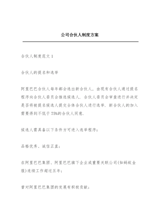 公司合伙人制度方案.docx