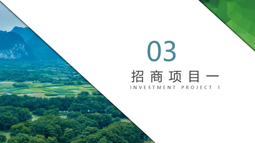 乡村振兴城乡融合绿色生态之城通用PPT模板