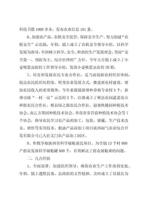 乡镇农业工作总结格式模板（3篇）