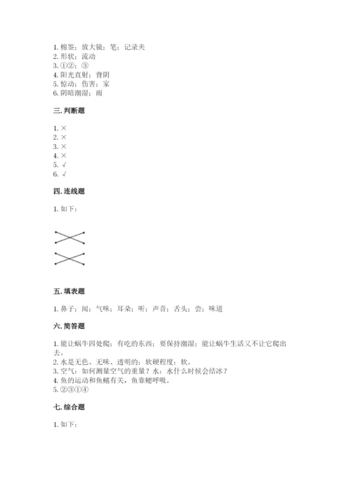 教科版一年级下册科学期末测试卷a4版.docx