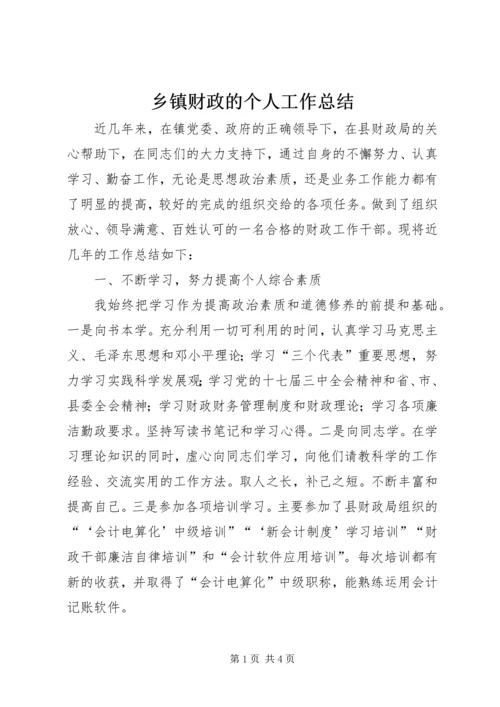 乡镇财政的个人工作总结.docx