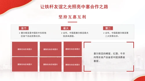 让铁杆友谊之光照亮中塞合作之路政治学习日主题PPT课件