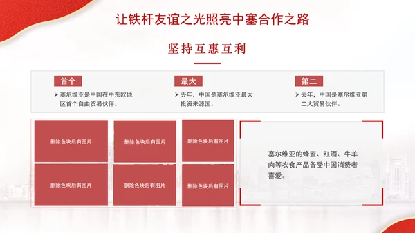 让铁杆友谊之光照亮中塞合作之路政治学习日主题PPT课件
