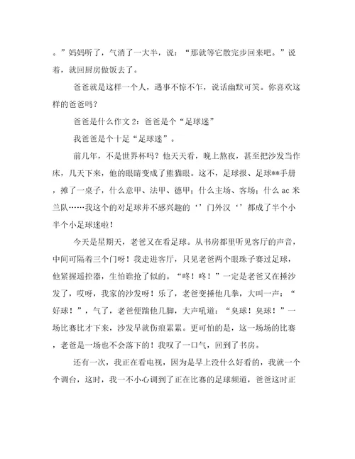 爸爸是什么作文