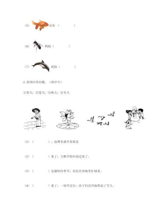 教科版小学二年级上册科学期末测试卷审定版.docx