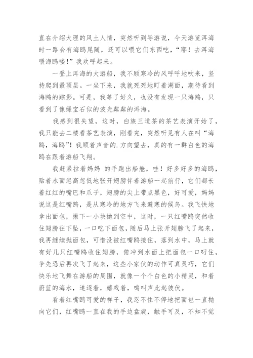 描写洱海风光的作文.docx