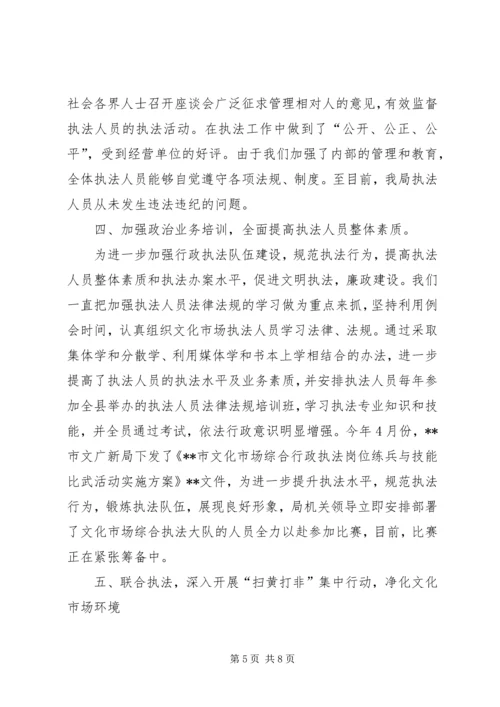 县文广新局上半年依法行政工作自查报告.docx