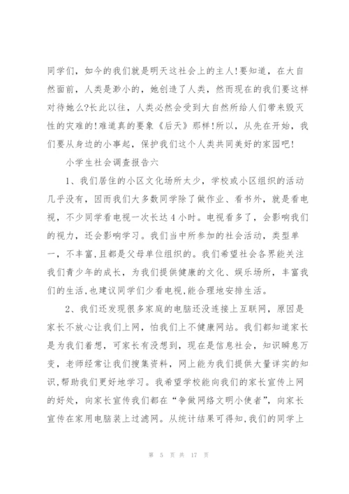 小学生社会调查报告范文10篇.docx