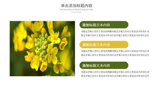 春天乡村旅游油菜花风景油菜花田PPT模板