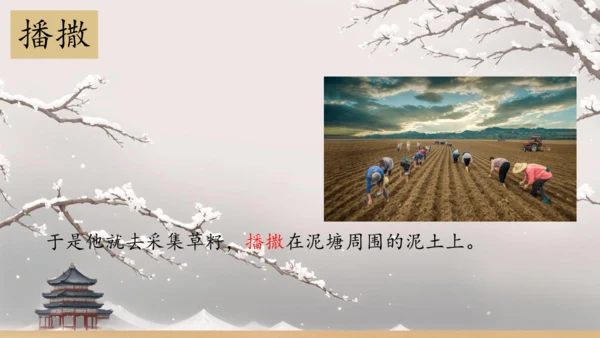 21 青蛙卖泥塘  课件