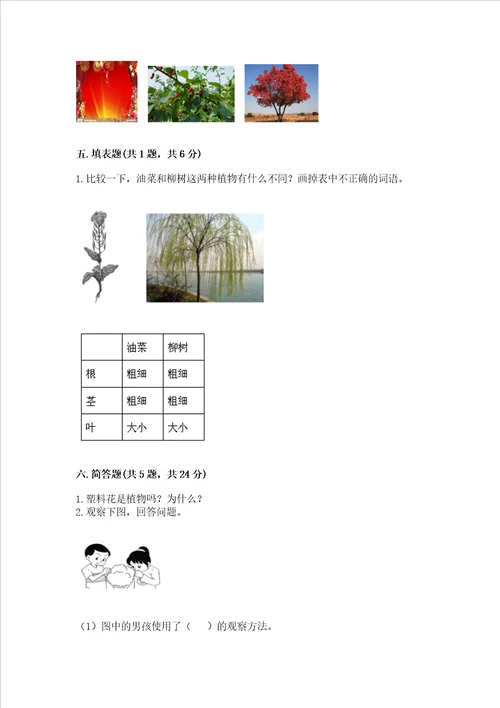 教科版一年级上册科学期末测试卷【培优b卷】