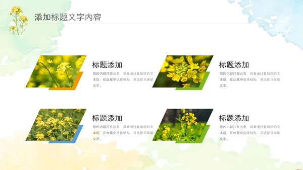 春天乡村旅游油菜花风景油菜花田PPT模板