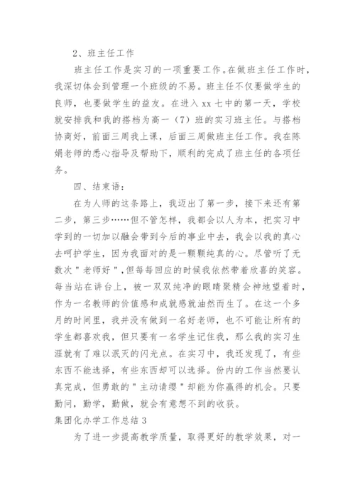 集团化办学工作总结.docx