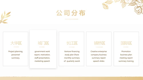公司品牌营销策划方案工作总结PPT