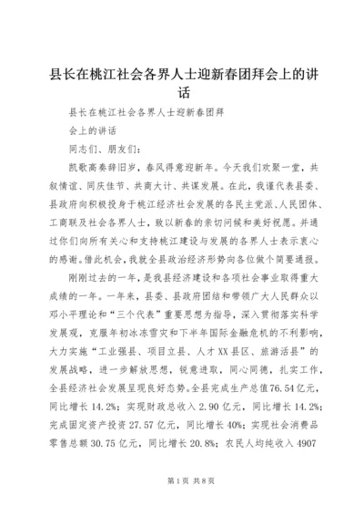 县长在桃江社会各界人士迎新春团拜会上的讲话.docx