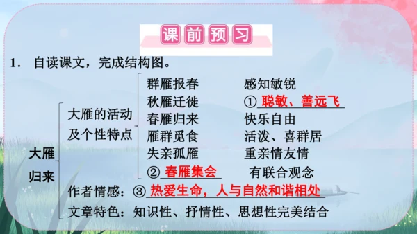 19《大雁归来》课件