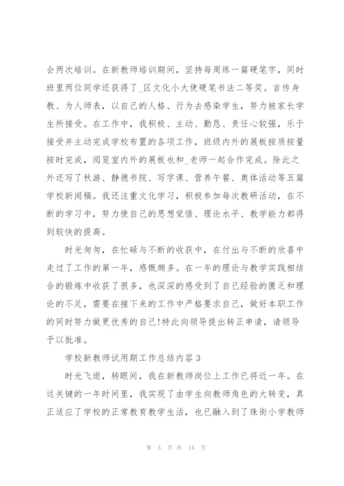 学校新教师试用期工作总结内容.docx