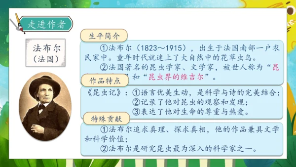 【核心素养】部编版语文三年级下册-14. 蜜蜂 第1课时（课件）