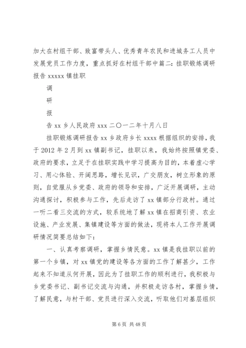 乡镇挂职调研报告.docx