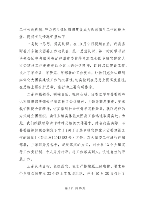 乡镇大团委建设自查报告某年.docx