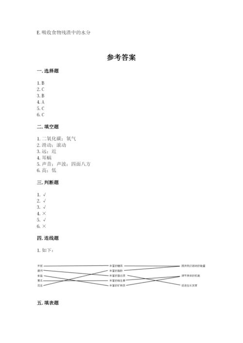 教科版四年级上册科学期末测试卷（典优）word版.docx