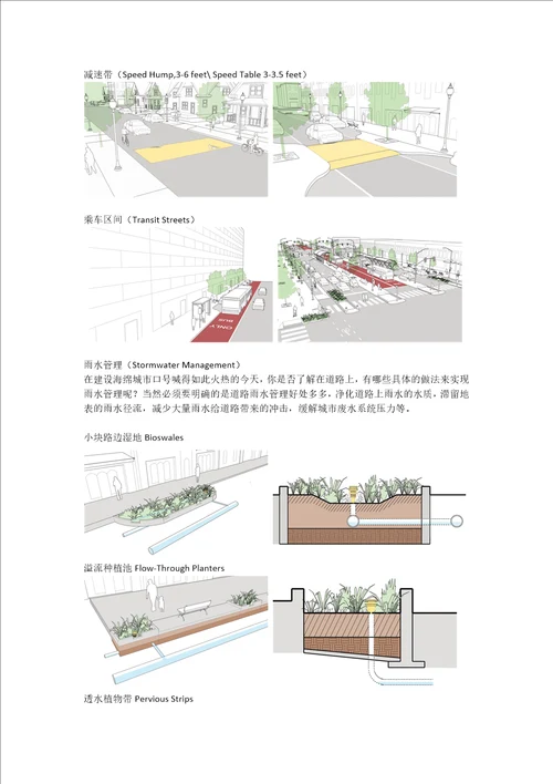 解析城市街道设计的各个要素共7页