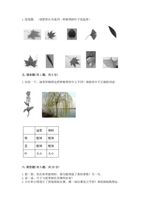 教科版一年级上册科学期末测试卷（考试直接用）.docx