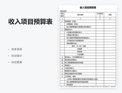 收入项目预算表