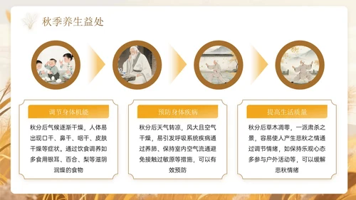 棕色系中国风秋分节气PPT模板