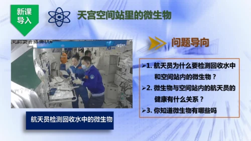 人教版生物七年级上册2.3.1《微生物的分布》课件(共22张PPT)+视频素材
