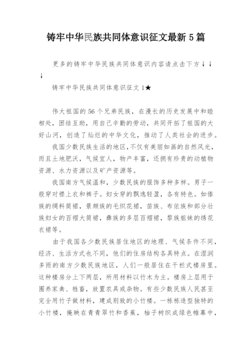 铸牢中华民族共同体意识征文最新5篇.docx